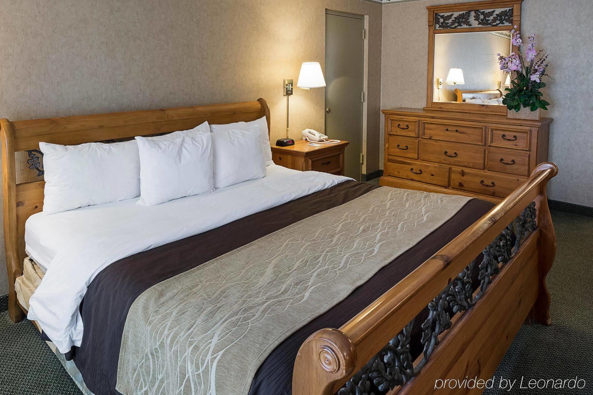 Comfort Inn Msp Airport - Mall Of America Bloomington Exteriör bild
